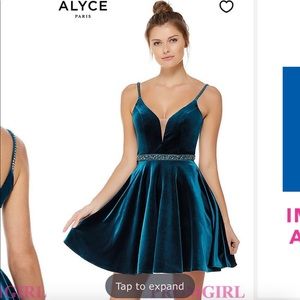 Alyce short homecoming dress. Velvet.